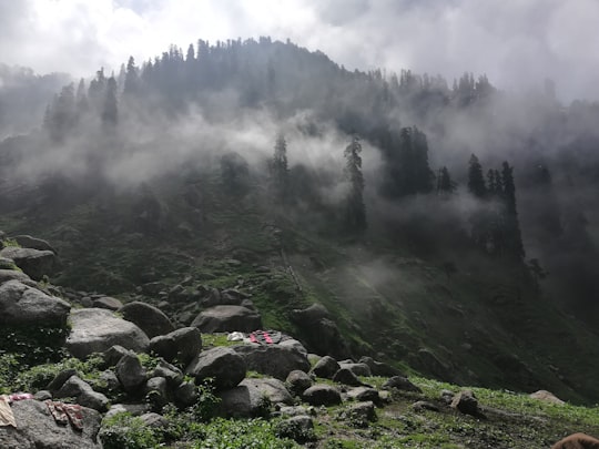 clouds covering trees on mountain hill in Kareri Lake India