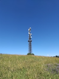 A tall transmission tower stands in the middle of a green field under a clear blue sky. The structure is equipped with multiple satellite dishes and antennas, likely used for communication purposes. The landscape is open and spacious, with some patches of wildflowers visible in the grass.