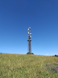 A tall transmission tower stands in the middle of a green field under a clear blue sky. The structure is equipped with multiple satellite dishes and antennas, likely used for communication purposes. The landscape is open and spacious, with some patches of wildflowers visible in the grass.