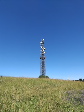 A tall transmission tower stands in the middle of a green field under a clear blue sky. The structure is equipped with multiple satellite dishes and antennas, likely used for communication purposes. The landscape is open and spacious, with some patches of wildflowers visible in the grass.