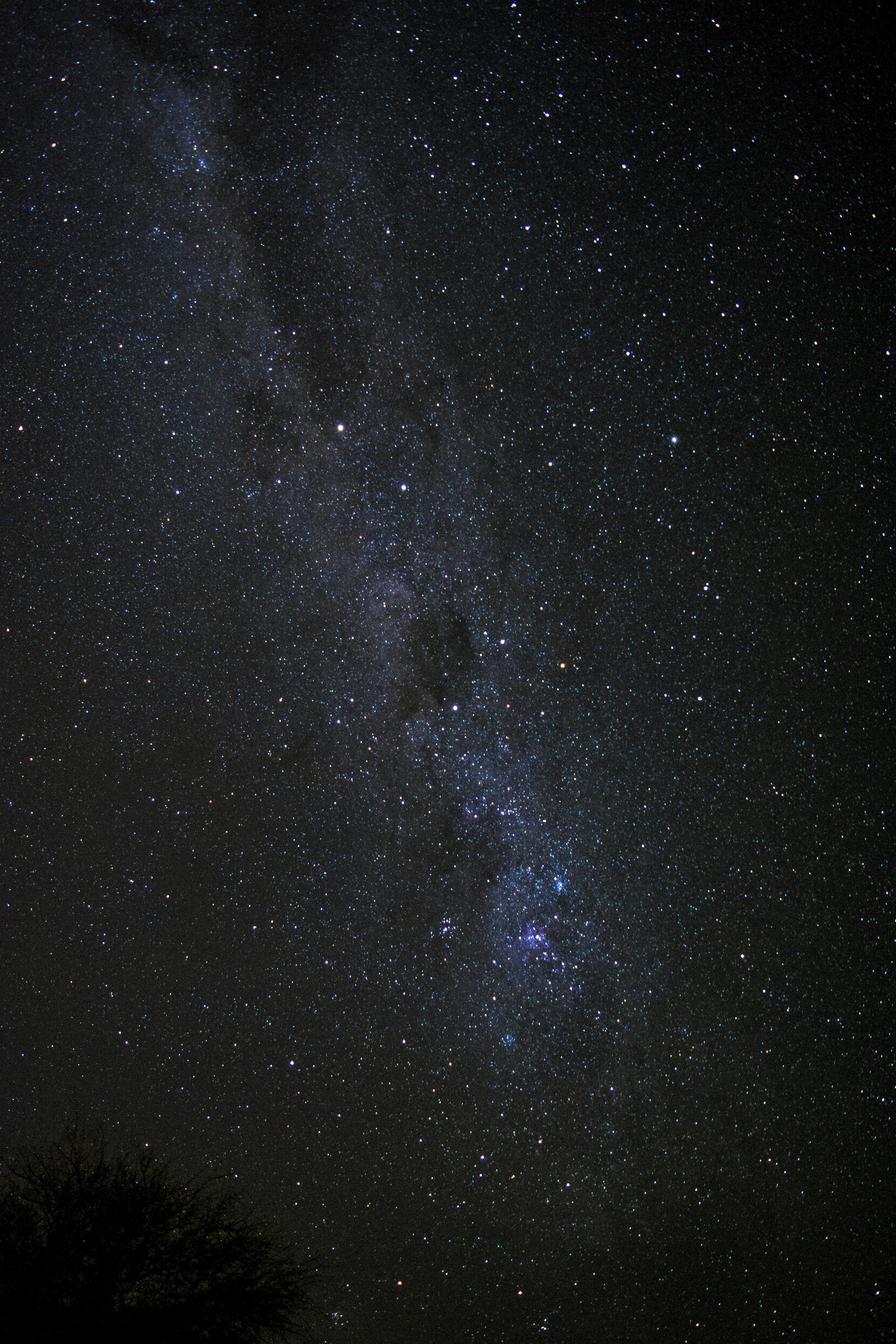 Desert camping beneath the stars