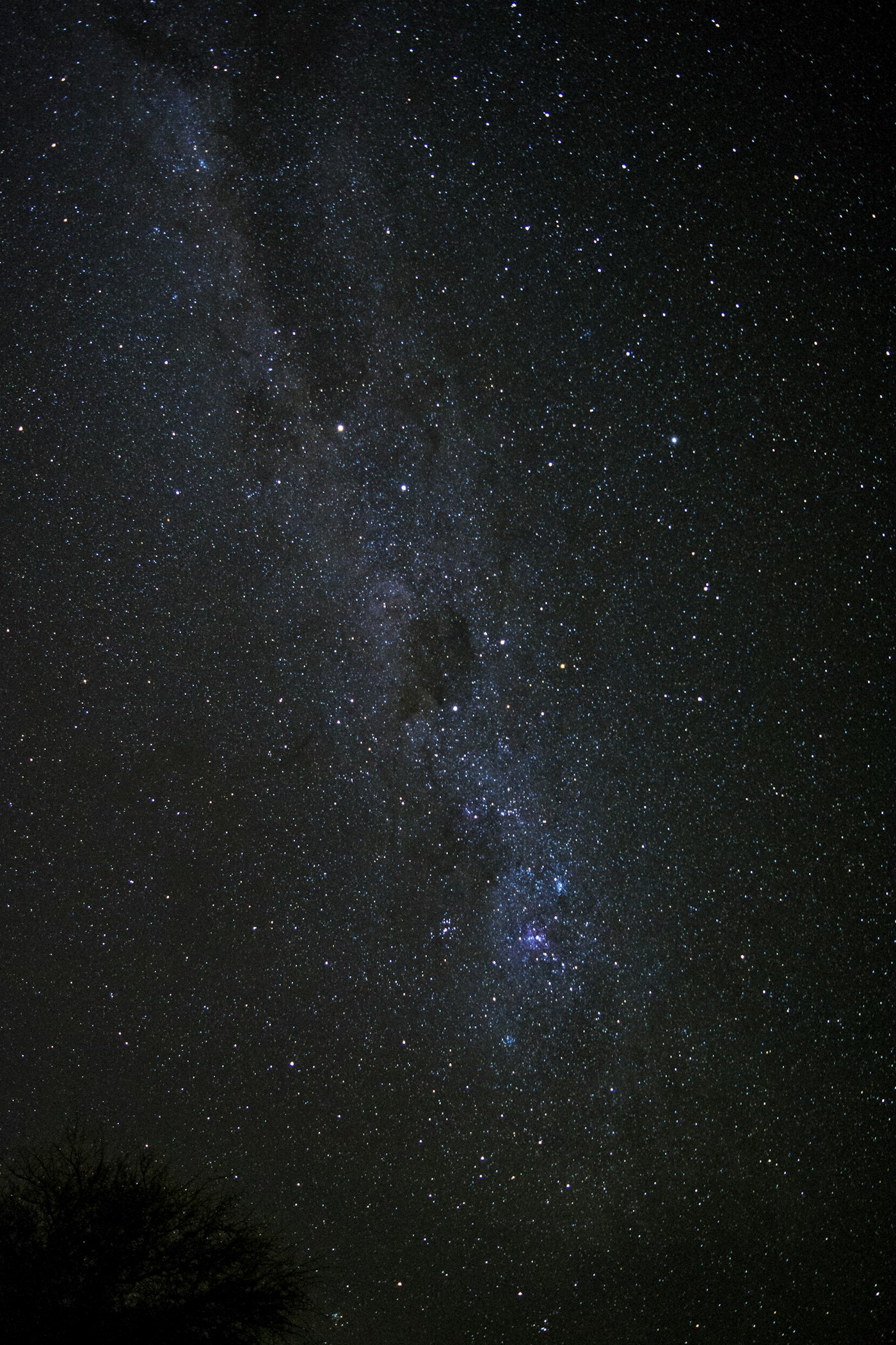 Cielo estrellado del Atacama