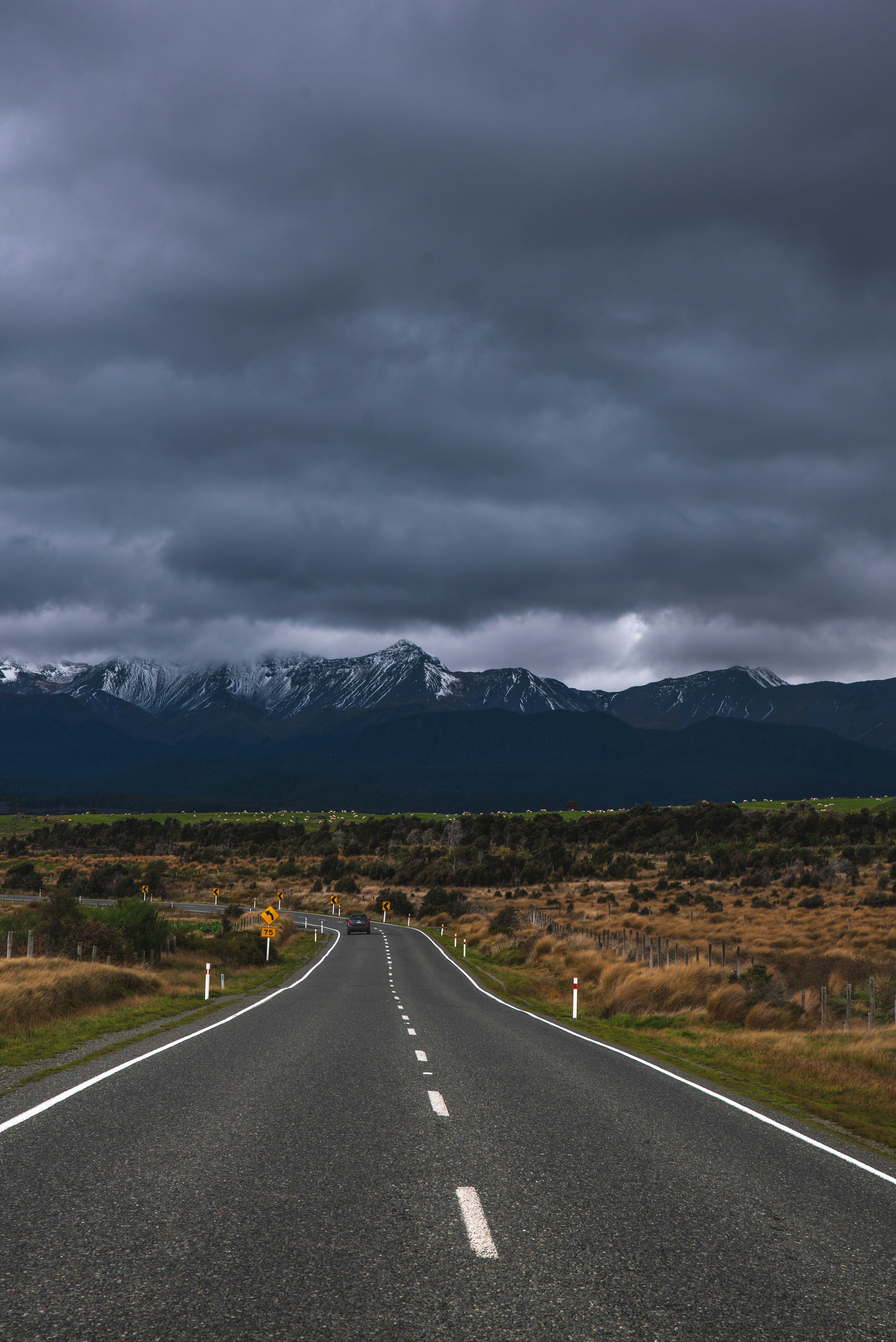 black-paved road