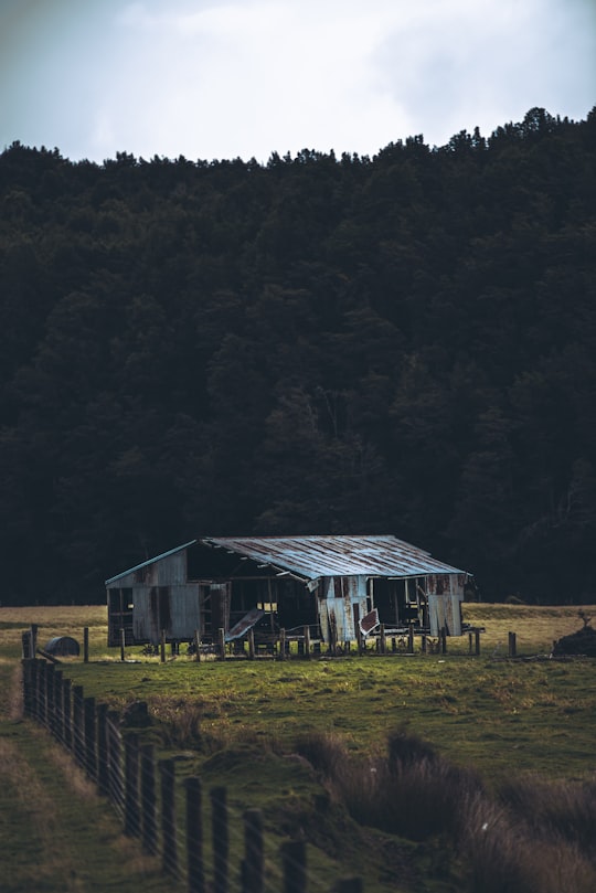 barn in middle of field with forest trees in background in Fiordland National Park New Zealand