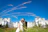 A joyful couple exchanging vows in a historic castle courtyard surrounded by lush vineyards.