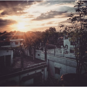 Sunset over contemporary homes surrounded by trees and open areas.