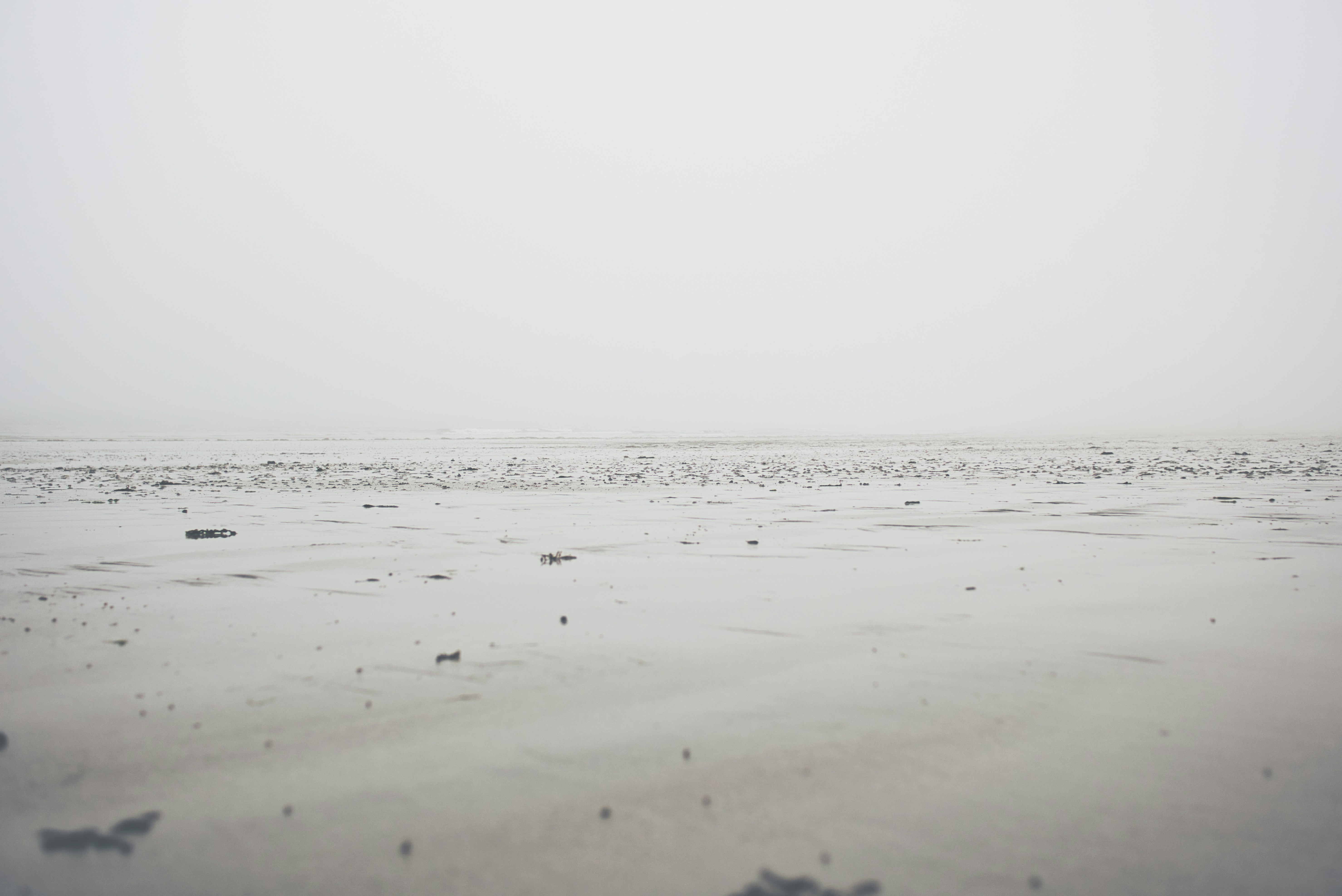 Choose from a curated selection of grey wallpapers for your mobile and desktop screens. Always free on Unsplash.