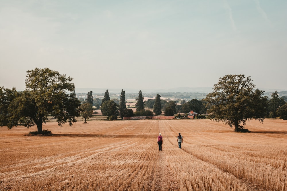 two person waling on brass grass field during daytime