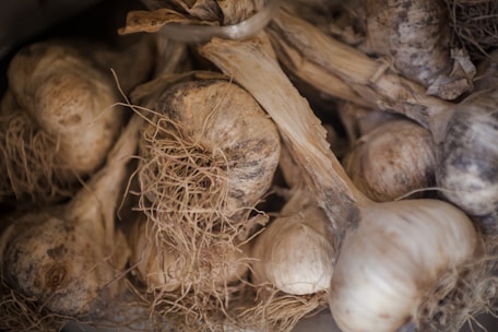 Close-up of natural dehydrated garlic flakes spilling from a rustic burlap sack.