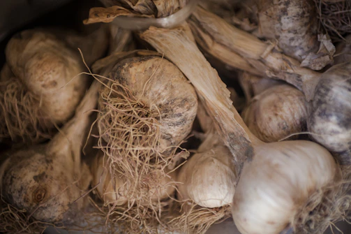 Close-up of fresh garlic bulbs stacked neatly in a wooden crate, highlighting their natural texture.