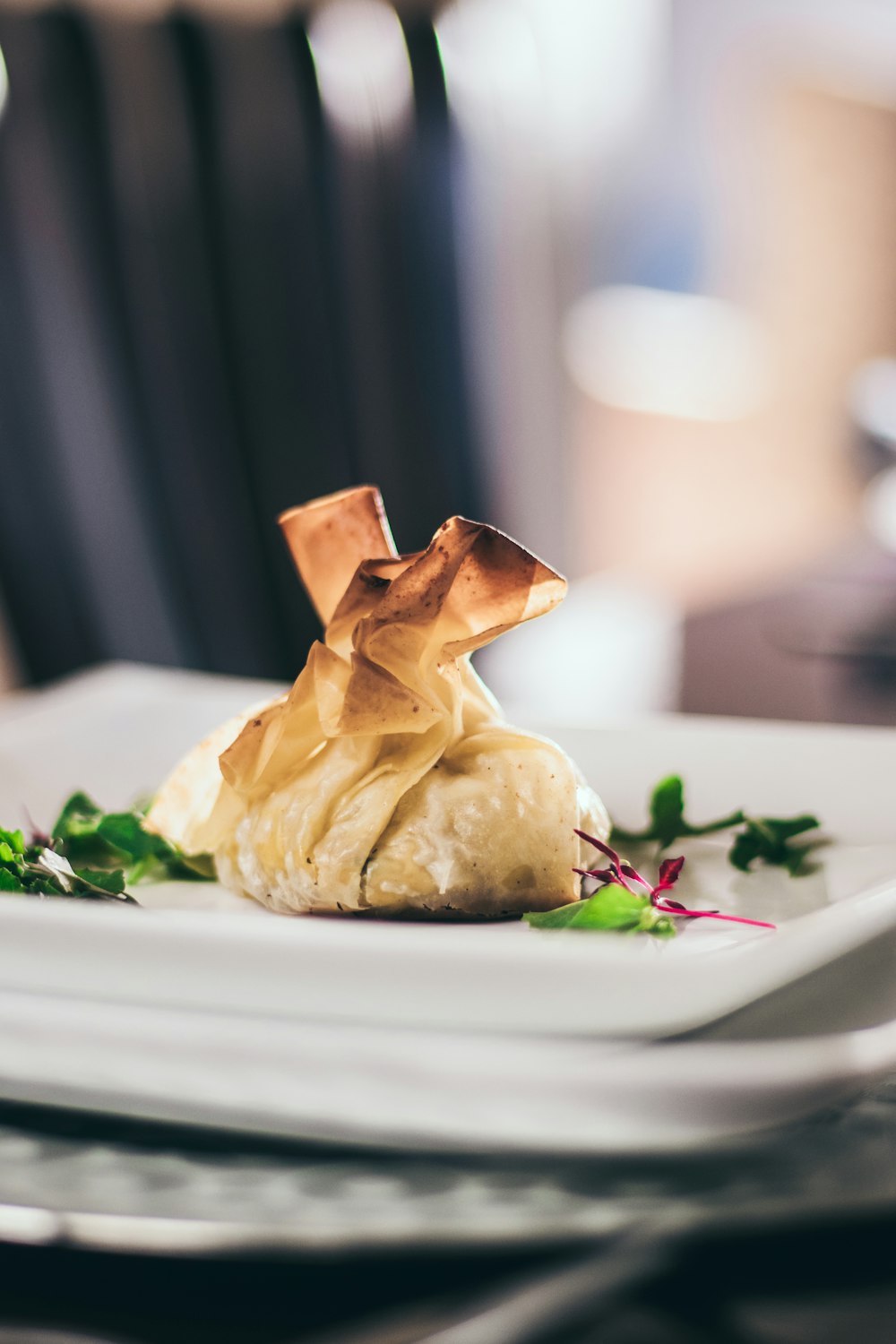 fried dumplings with garnish