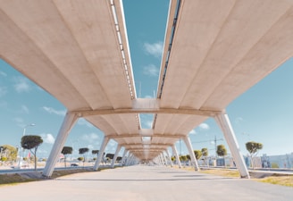 An overhead perspective of a concrete bridge structure supported by tall pillars, with a clear blue sky in the background. The bridge runs parallel to a road below, lined with a few evenly spaced trees. Modern street lamps are visible, and the surroundings hint at an urban setting.