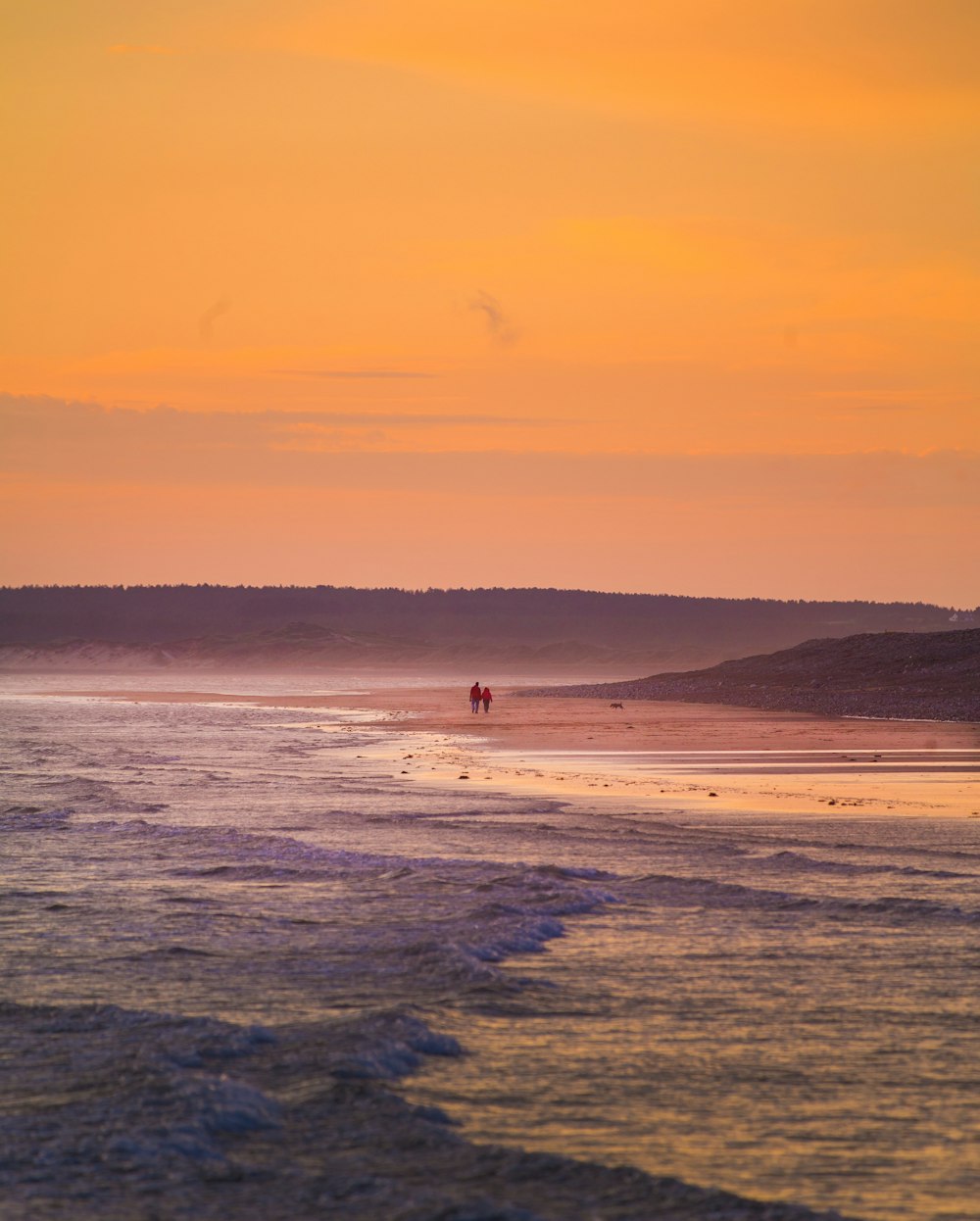 two person walking on beach sand