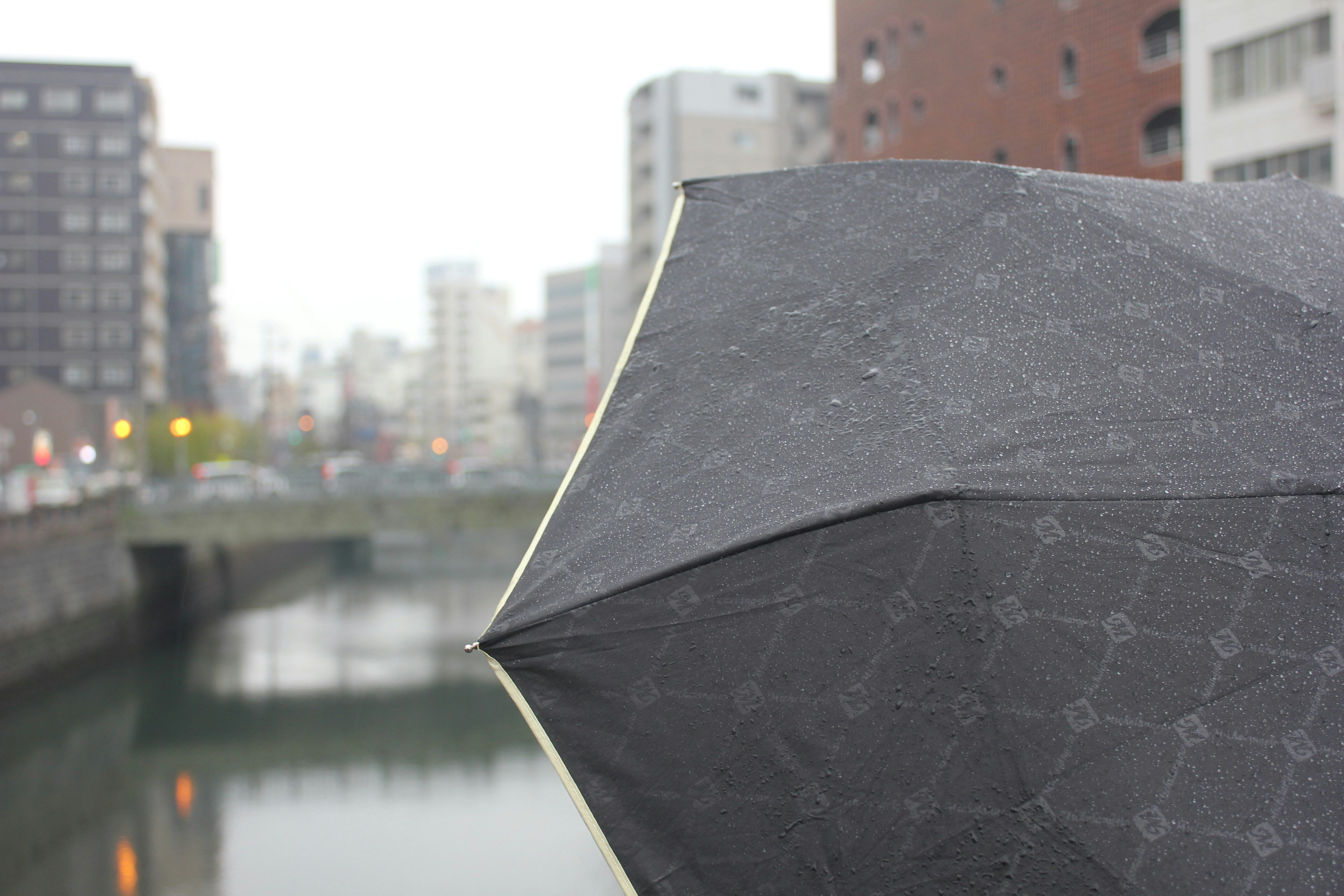 Classic Rain Shield