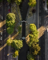 birds eye view of trees
