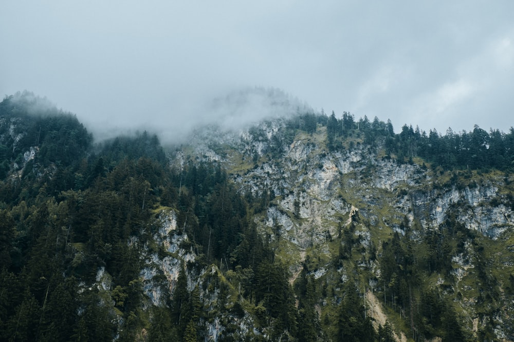 rock mountain with trees under white sky