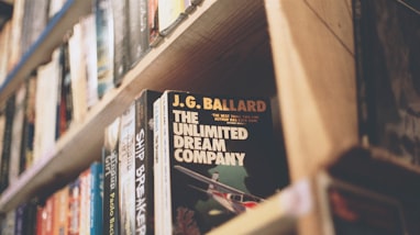 The Unlimited Dream Company by J.G. Ballard book