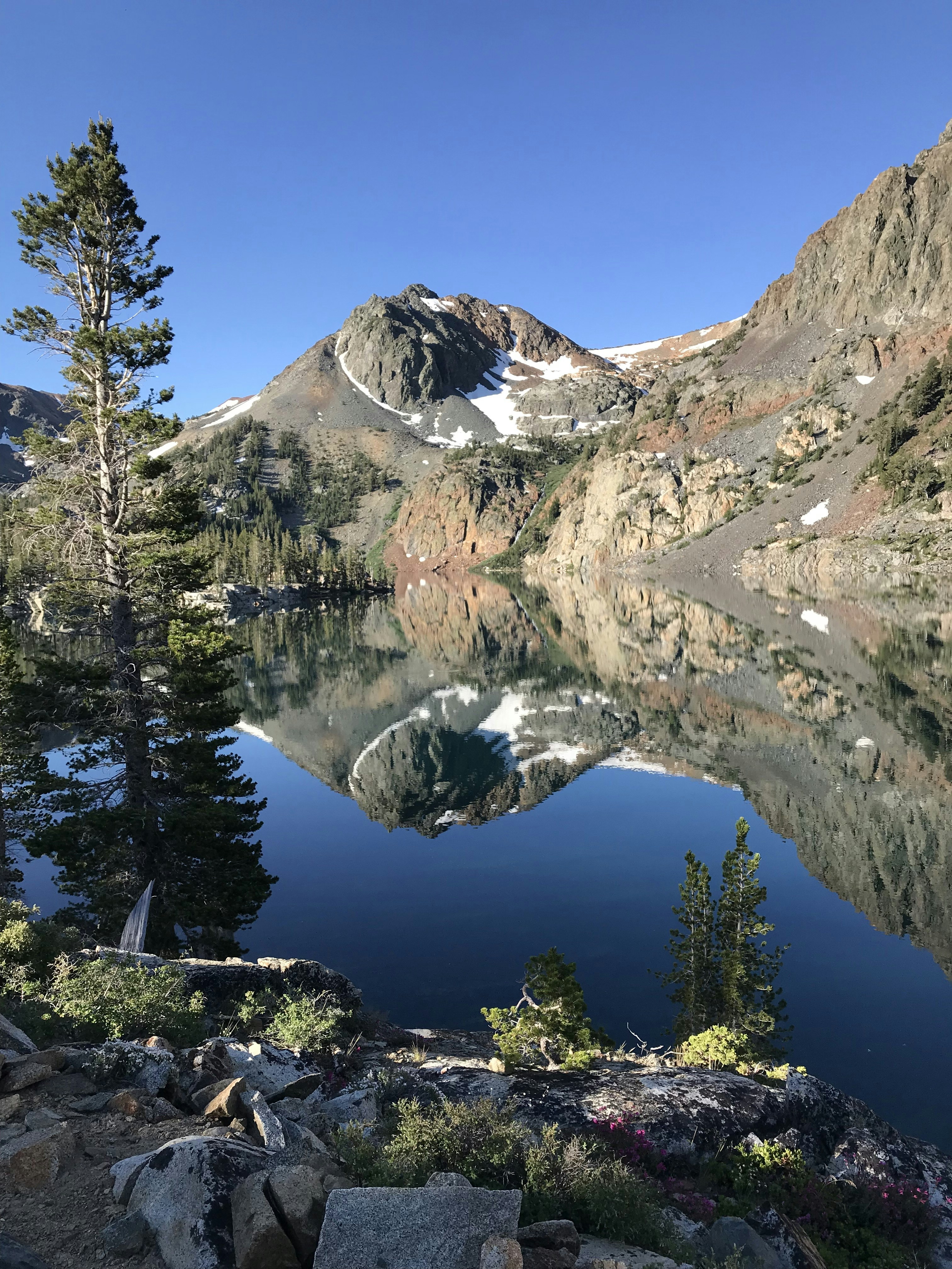 bridgeport neighborhoods