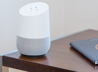 white and gray Google home on brown table