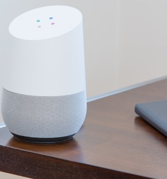 white and gray Google home on brown table