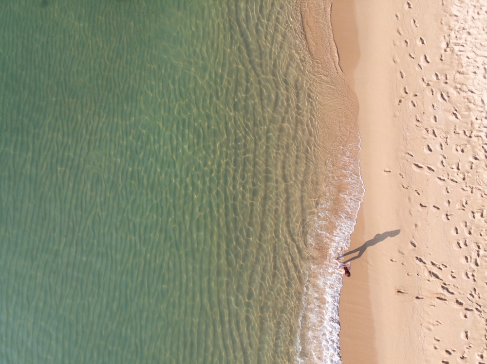 person standing near shoreline