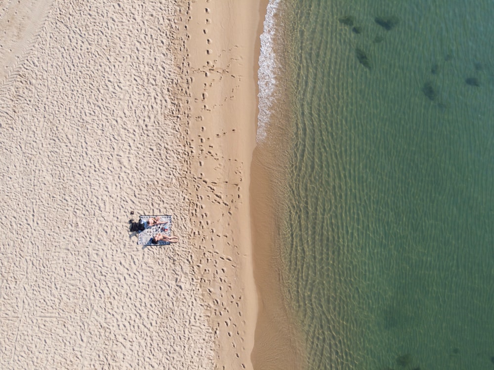 aerial photography of people near seashore at daytime