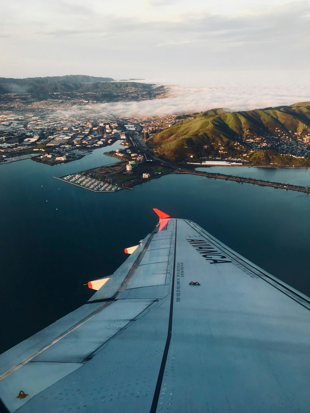 view of island on plane window