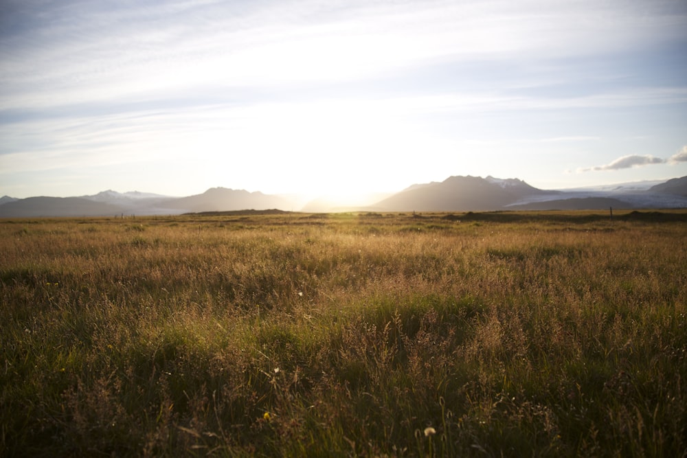 green grass field near mountains during daytime