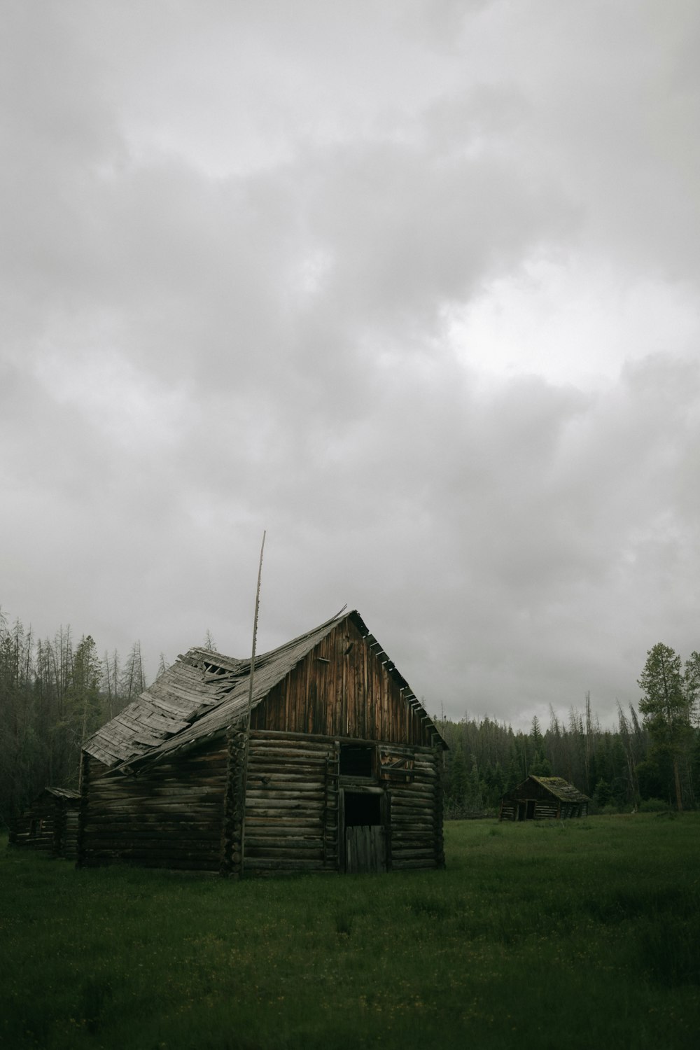 cabin surrounded by grass