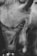 A black and white close-up of a person gently holding the forehead of a light-colored dog, possibly a horse or large animal. The person's fingers are adorned with a ring and bracelet, creating a sense of tenderness and connection.