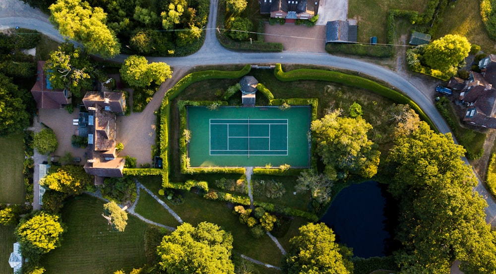 top view of garden