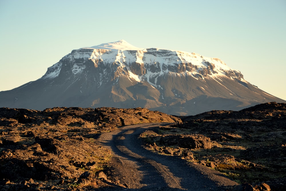 dirt toad with alps mountain background