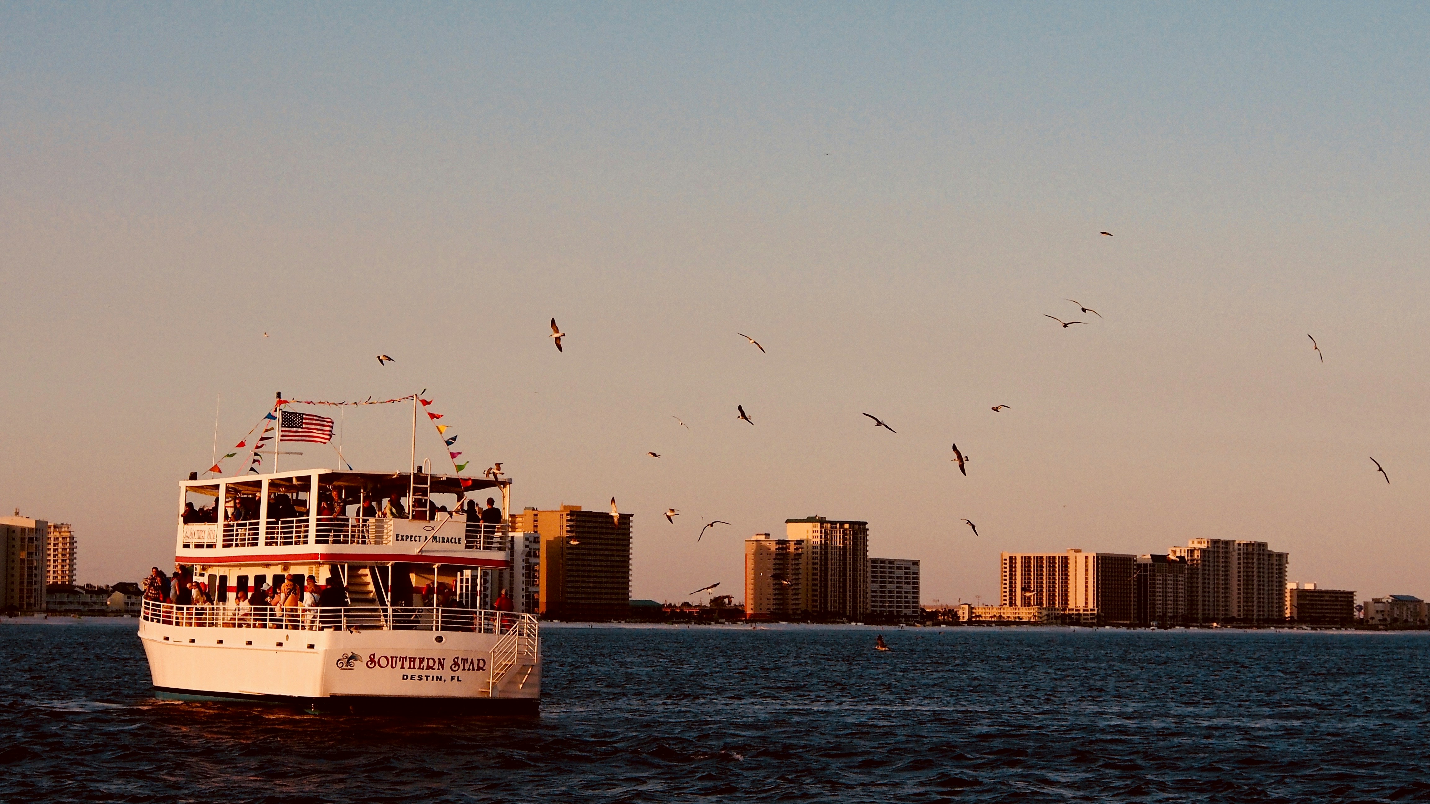 white ship on body of water, A group of birds escort a ferry full of people looking for a few scraps.