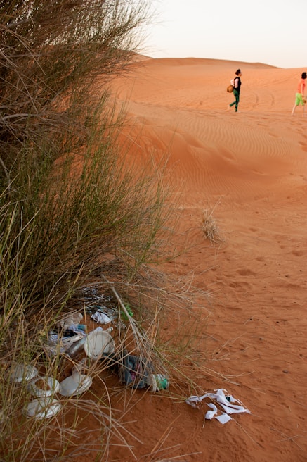 Community members cleaning up trash from a desert landscape