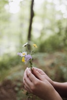 A close-up of hands gently holding a small bouquet of wildflowers picked from a garden.