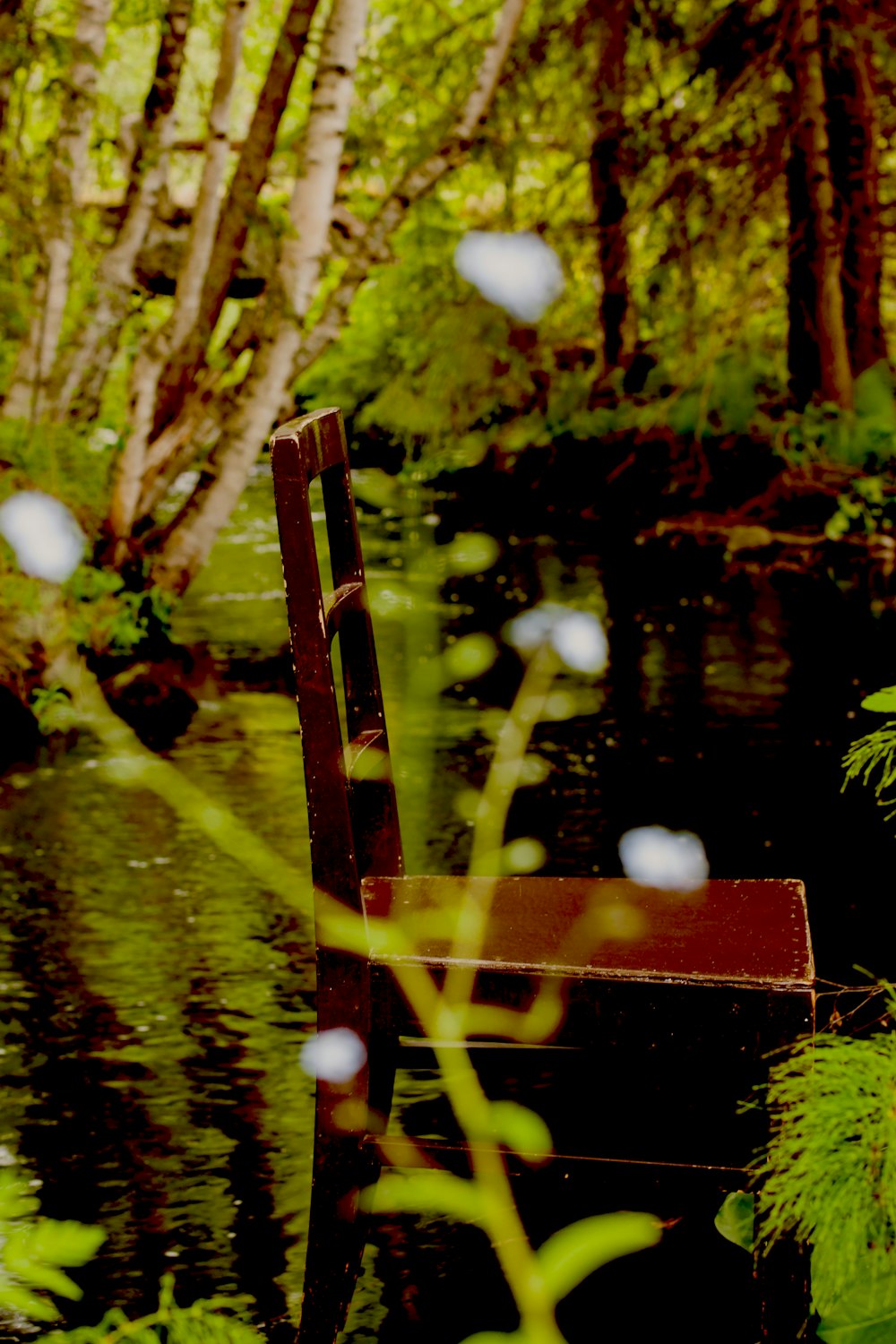 brown wooden armless chair near lake surrounded with trees