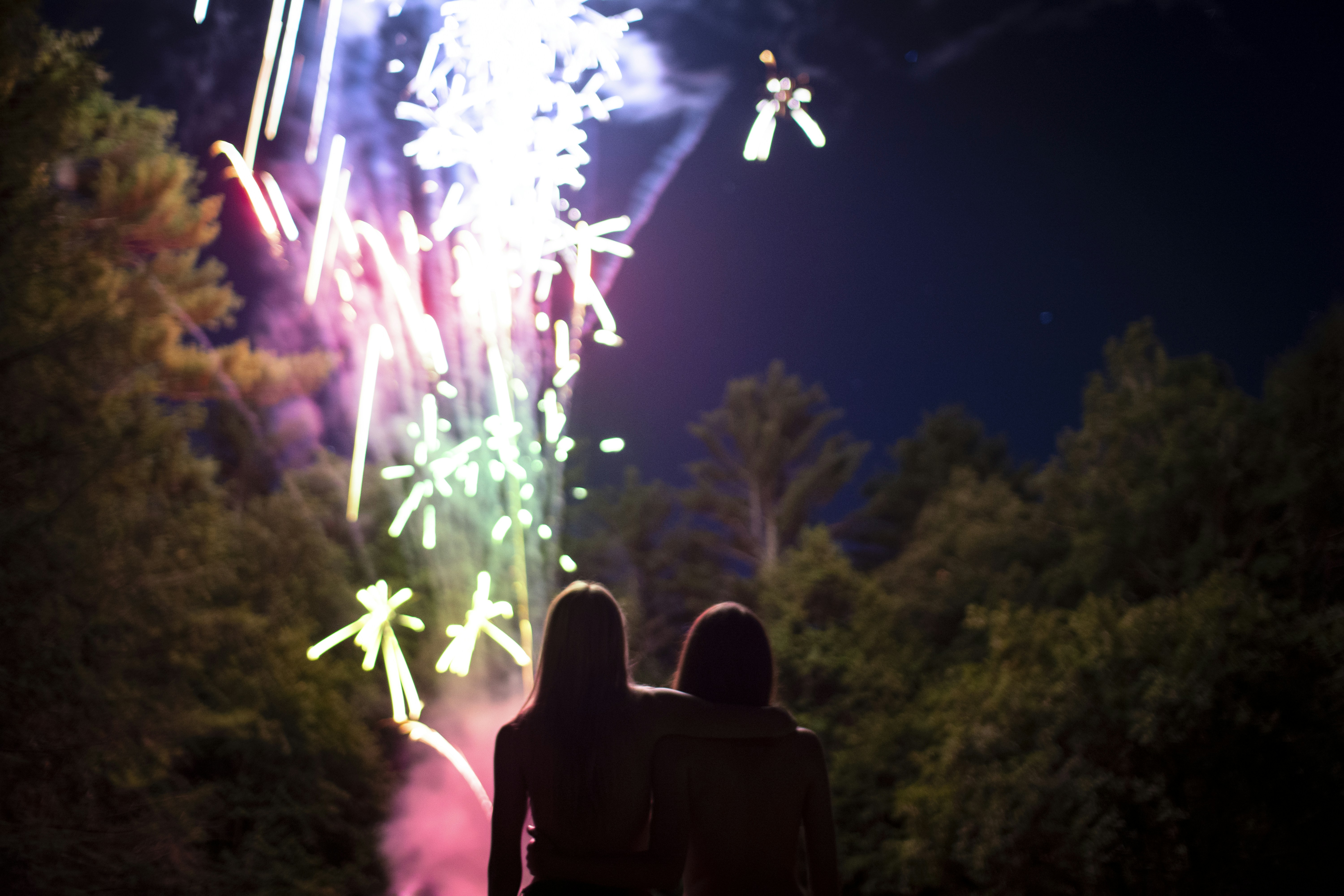 Friendship Tree Garden (Tree of Friendship) photo 3