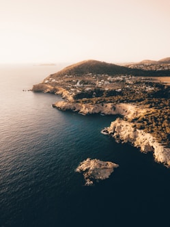 aerial photography of coastline near green trees