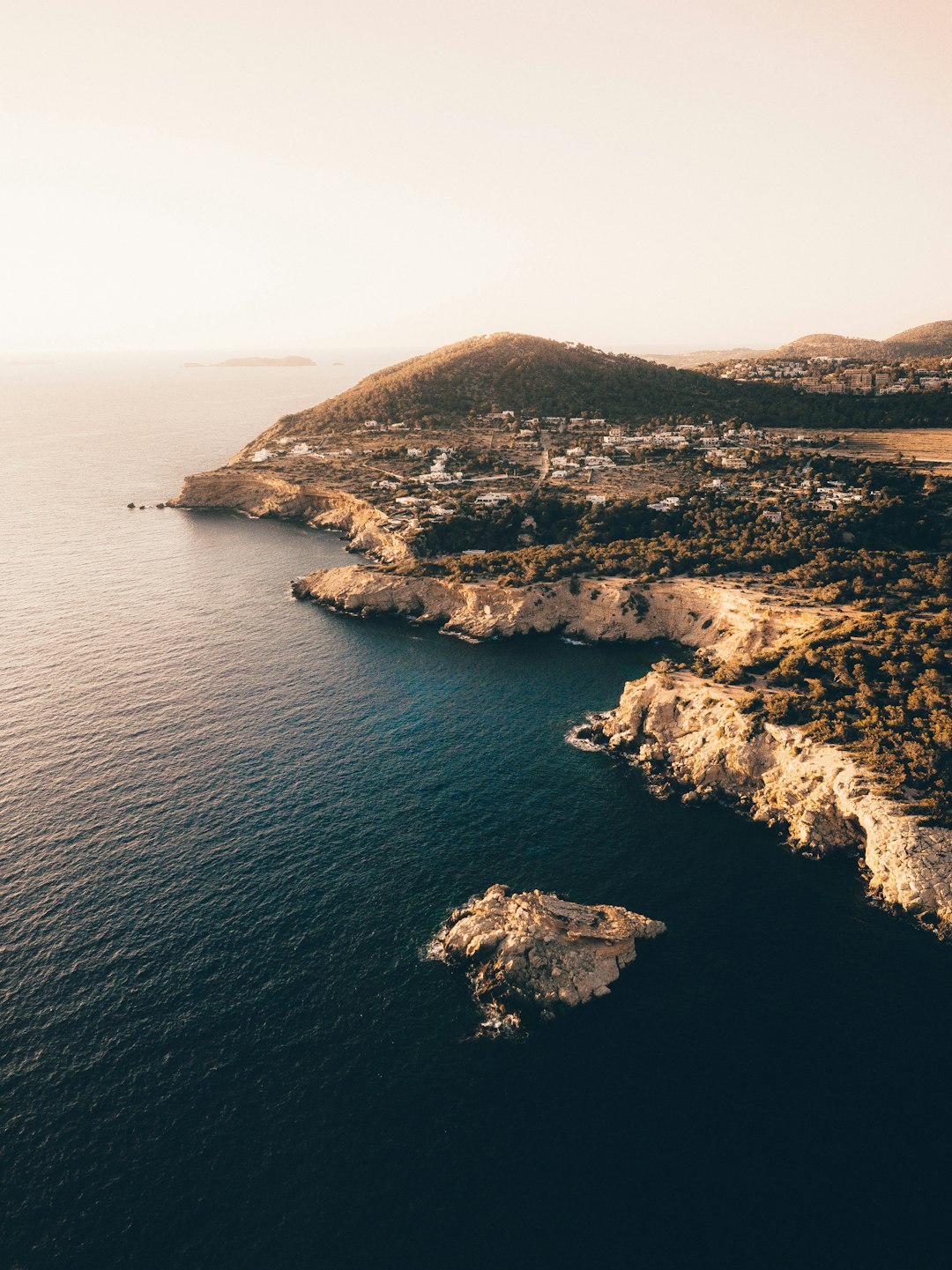 aerial photography of coastline near green trees