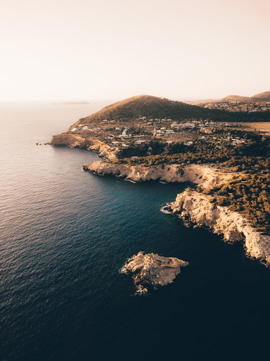 aerial photography of coastline near green trees in Ibiza Spain