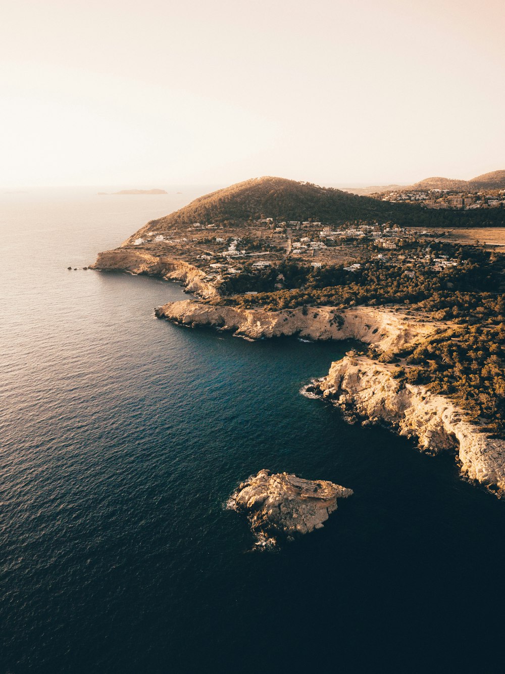 Fotografía aérea de la costa cerca de árboles verdes