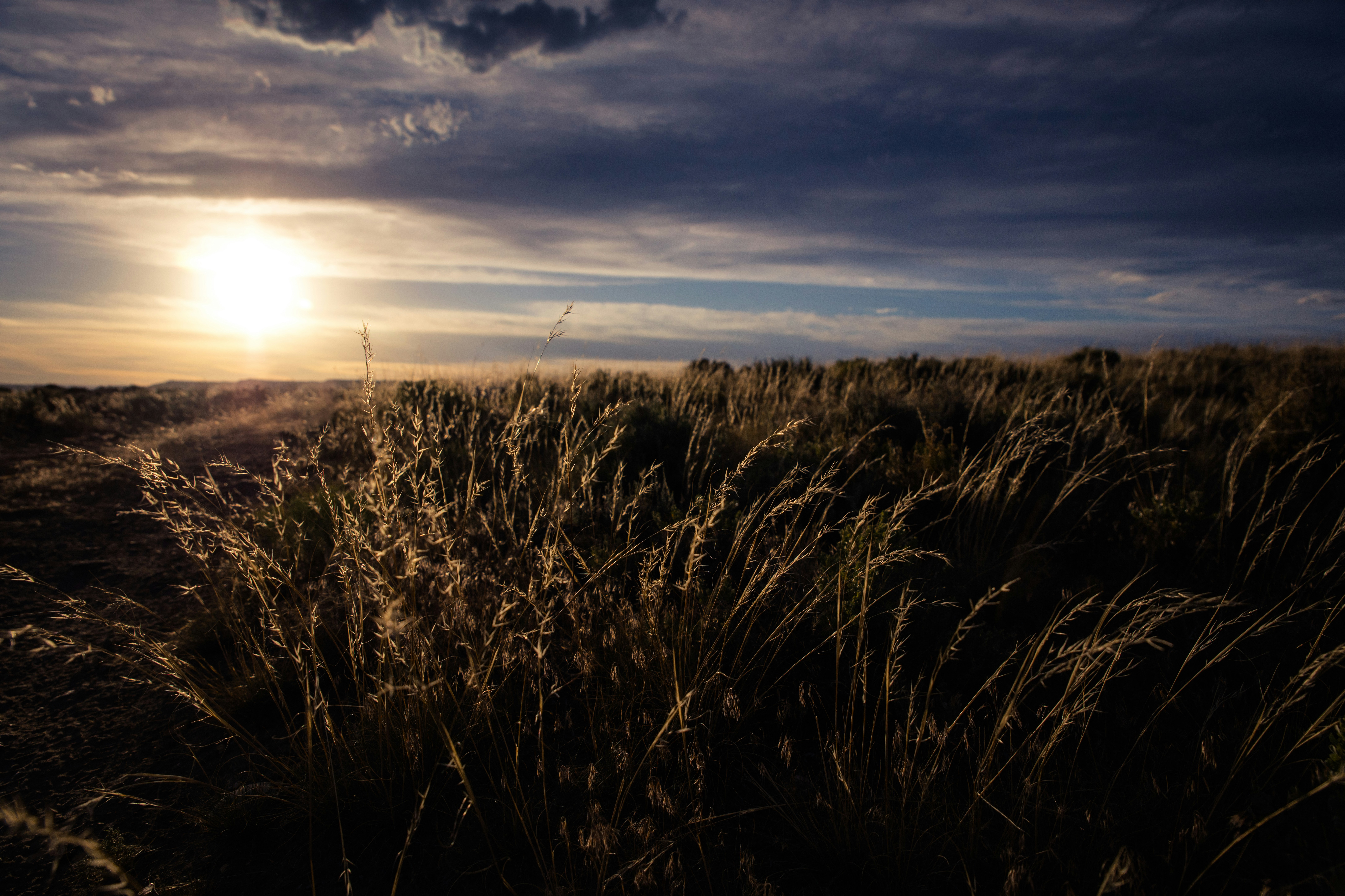 Photo by worldsbetweenlines