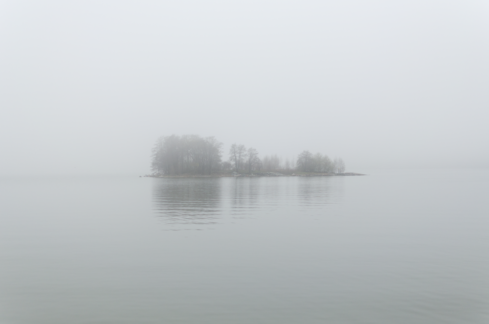 green grasses on body of water