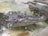 A crocodile partially submerged in a clear enclosure with its textured and rugged skin visible through the water. The setting includes some leaves and debris floating on the water surface, giving a natural habitat feel.