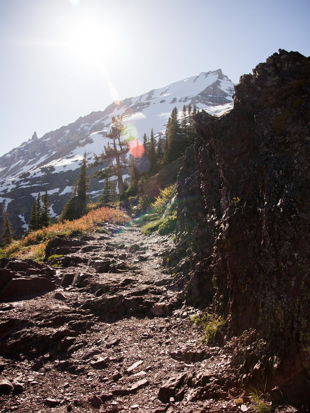 rock mountain trail towards alps