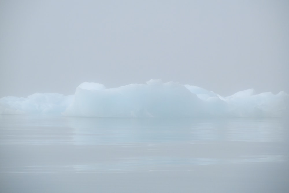 icebergs on body of water