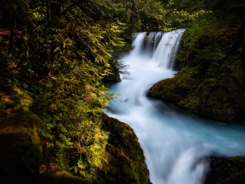 time lapse photography of river on forest