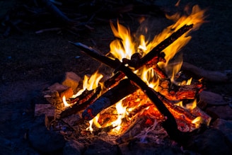 photo of bonfire