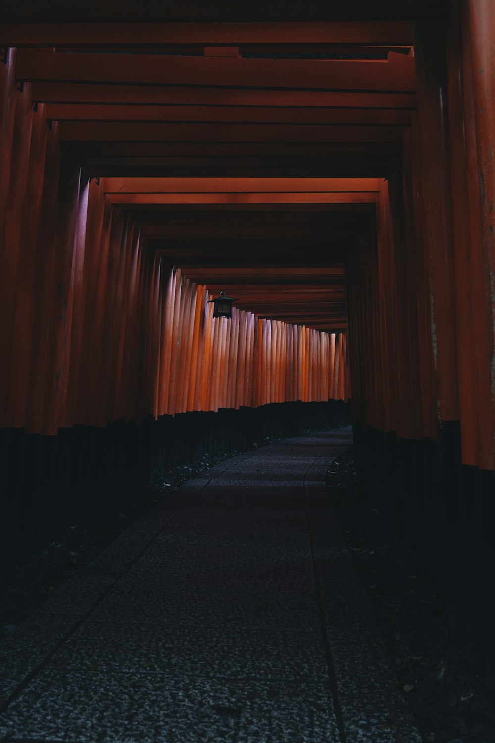 túnel de madera marrón