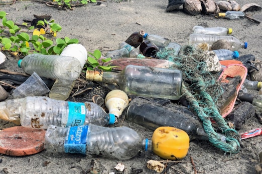 assorted garbage bottles on sandy surface